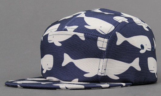 chuck originals 5 panels c