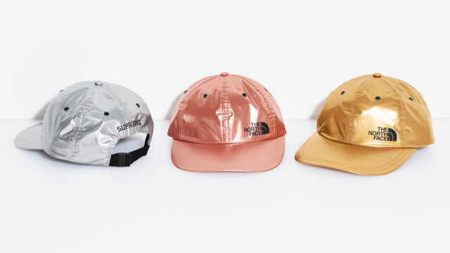 Supreme x The North Face