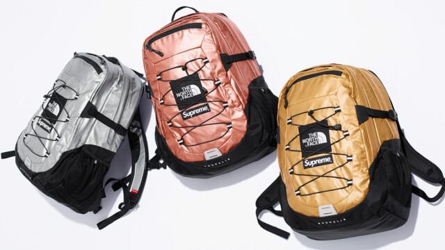 Supreme x The North Face