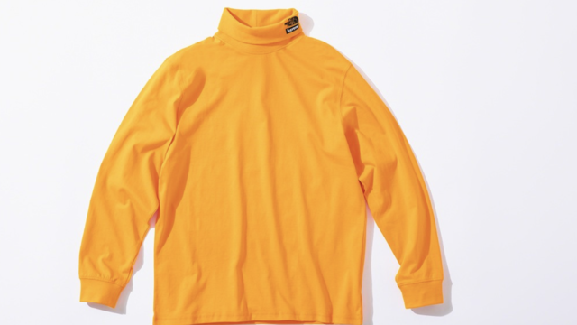 the north face x supreme